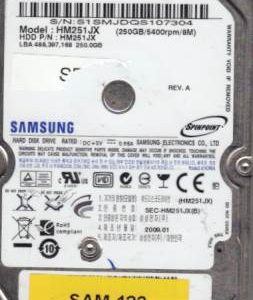 Samsung HM251JX 250GB