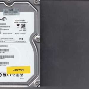 Seagate ST3250310NS 250GB