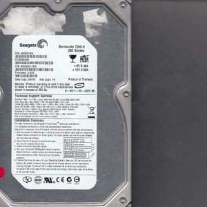 Seagate ST3250824A 250GB