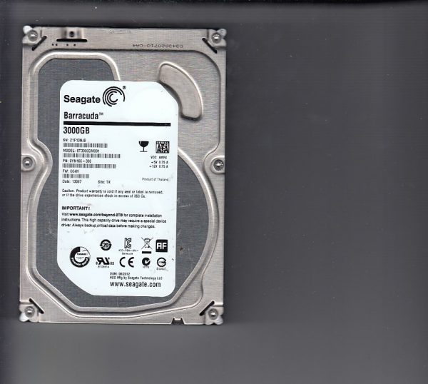 Seagate ST3000DM001 3000GB