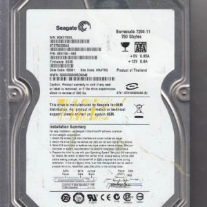 Seagate ST3750330AS 750GB