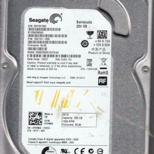 Seagate ST250DM000 250GB