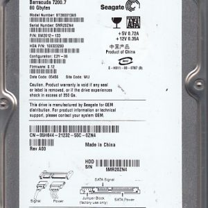 Seagate ST380013AS 80gb