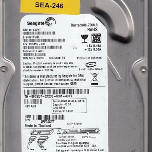 Seagate ST3402111AS 40GB