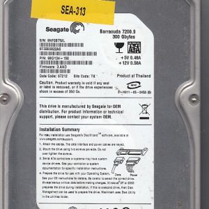 Seagate ST3300822AS 300GB