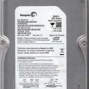 Seagate ST3250820SCE 250GB