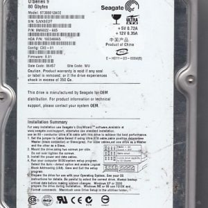 Seagate ST380012ACE 80GB