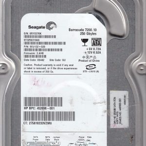 Seagate ST3250310AS 250GB