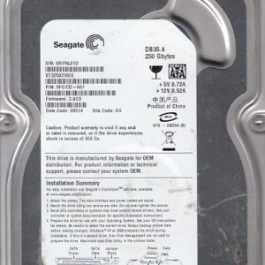 Seagate ST3250310CS 250GB