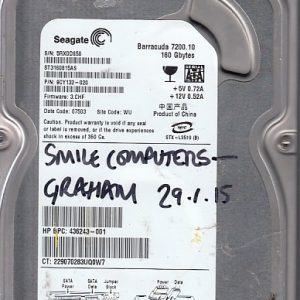 Seagate ST3160815AS 160GB