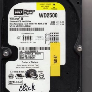 Western Digital WD2500JB-98GVA0 250GB