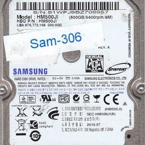 Samsung HM500JI 500GB