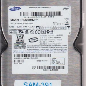 Samsung HD080HJ 80 GB