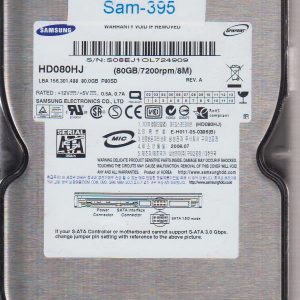 Samsung HD080HJ 80GB