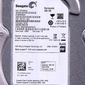 Seagate ST250DM000 250GB