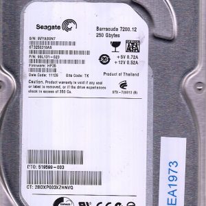 Seagate ST3250318AS 250GB