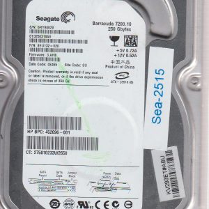 Seagate ST3250310AS 250GB