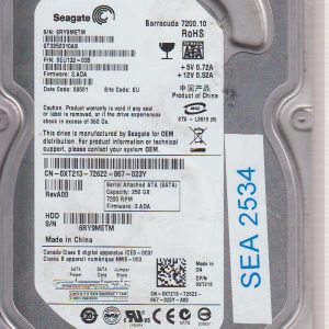 Seagate ST3250310AS 250 GB