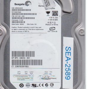 Seagate ST3160815AS 160 GB