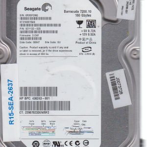 Seagate ST3160815AS 160 GB