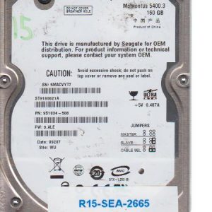 Seagate ST9160821A 160 GB