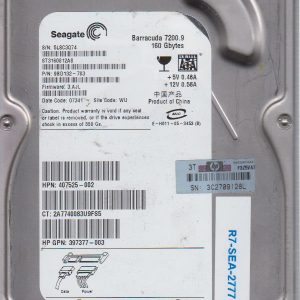 Seagate ST3160812AS 160 GB