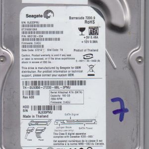 Seagate ST3160812AS 160 GB