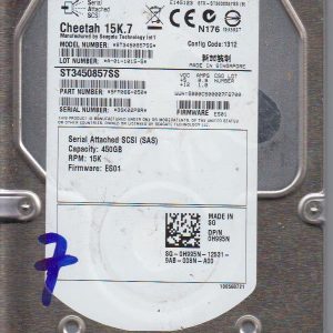 Seagate ST3450857SS 450 GB