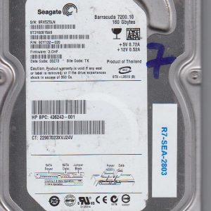 Seagate ST3160815AS 160 GB