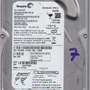 Seagate ST3160812AS 160 GB