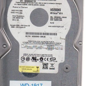 Western Digital WD2500KS-00MJB0 250GB