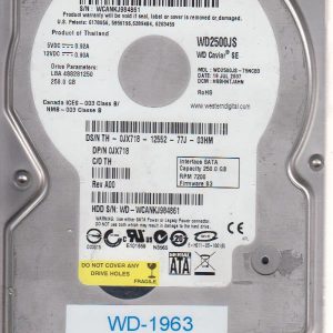 Western Digital WD2500JS-75NCB3 250GB