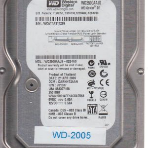 Western Digital WD2500AAJS-62B4A0 250GB