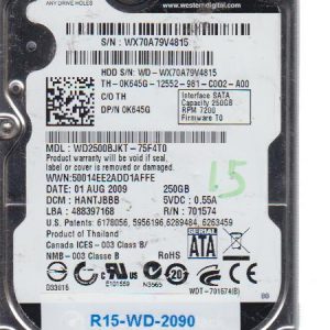 Western Digital WD2500BJKT 250 GB