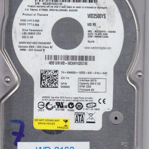 Western Digital WD2500YS 250 GB